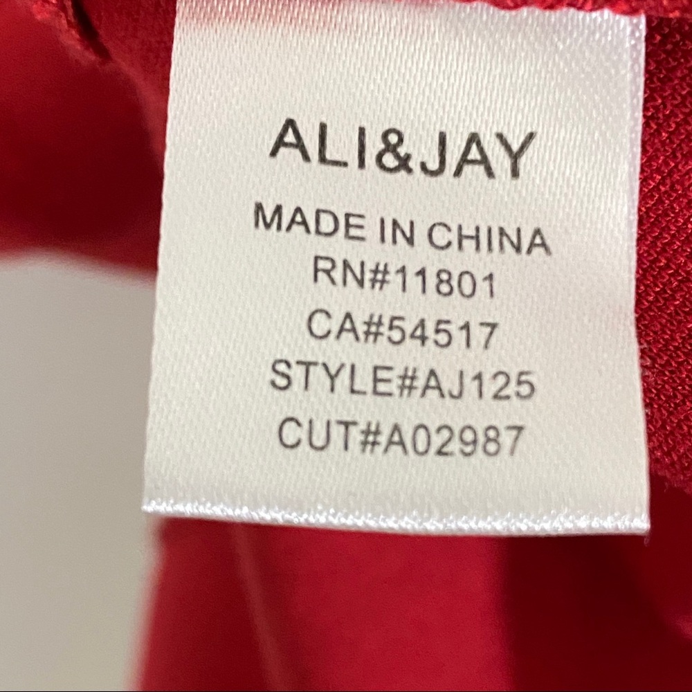 Ali & Jay Red Dress - Picture 6 of 7